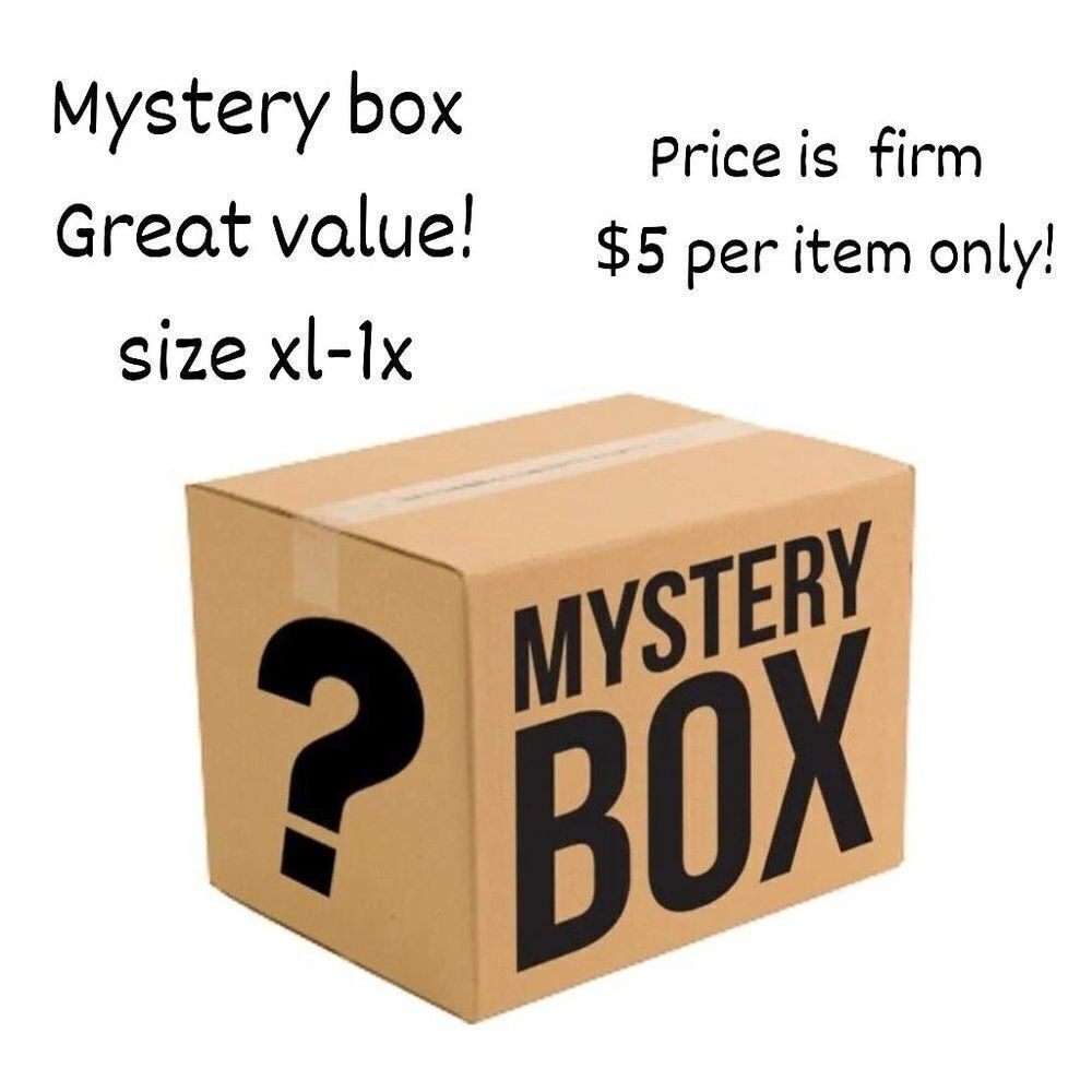 mystery box size xl-1x  ( 6pc  ) price firm $5 per item sweater, bl…